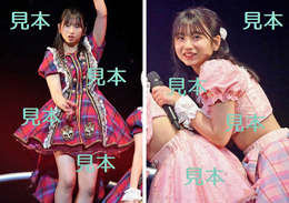 井上春華『モーニング娘。2023秋～Neverending Shine Show～』A13枚