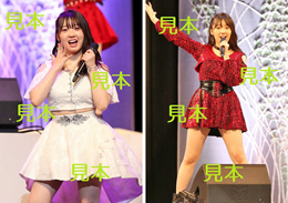 山岸理子『H!P 2021春 花鳥風月』生写真14枚