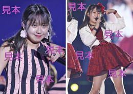 野中美希『～ひなフェス 2019～』生写真8枚