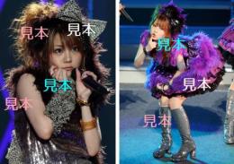 【田中れいな】モーニング娘。『2009秋 ～ナインスマイル～』生写真B93枚