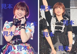竹内朱莉『ハロプロカウントダウン2015』生写真13枚