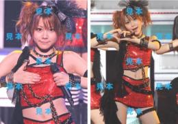 【田中れいな】『Hello! Project 2012 WINTER ハロ☆プロ天国』生写真A24枚
