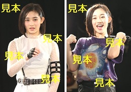 佐々木莉佳子『アンジュルム ライブツアー 2016春 ～九位一体～』生写真17枚
