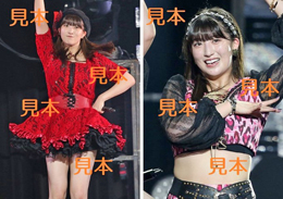羽賀朱音『Hello!2023冬～TWO OF US～』生写真A15枚