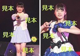 山岸理子『研修生発表会2016～春の公開実力診断テスト～』生写真16枚
