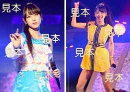 飯窪春菜『モーニング娘。2016秋　～MY VISION～』生写真B16枚