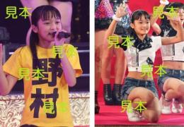 野村みな美『Berryz工房武道館2013　さくらの花束』生写真17枚