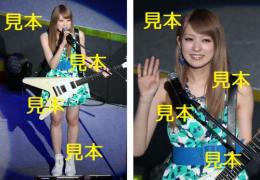 宮澤茉凛『'14コンサートツアー春～エヴォリューション～』生写真12枚