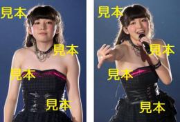 勝田里奈『Hello! Project ひなフェス 2014 ～Full コース～』生写真9枚
