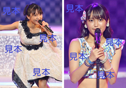 野村みな美『Hello!2019夏～beautiful & harmony～』生写真B16枚