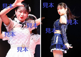 筒井澪心『Hello! Project ひなフェス 2023』生写真10枚