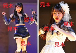 米村姫良々『Hello! Project ひなフェス 2023』生写真7枚