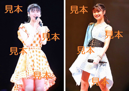 八木栞『Hello! Project ひなフェス 2023』生写真15枚