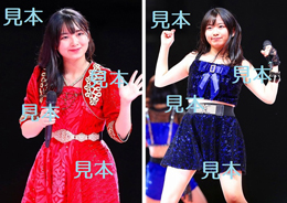 有澤一華『Hello! Project ひなフェス 2023』生写真6枚