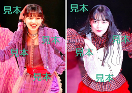 上國料萌衣『Hello! Project ひなフェス 2023』生写真11枚