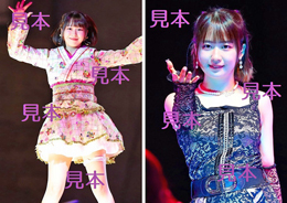 野中美希『Hello! Project ひなフェス 2023』生写真9枚